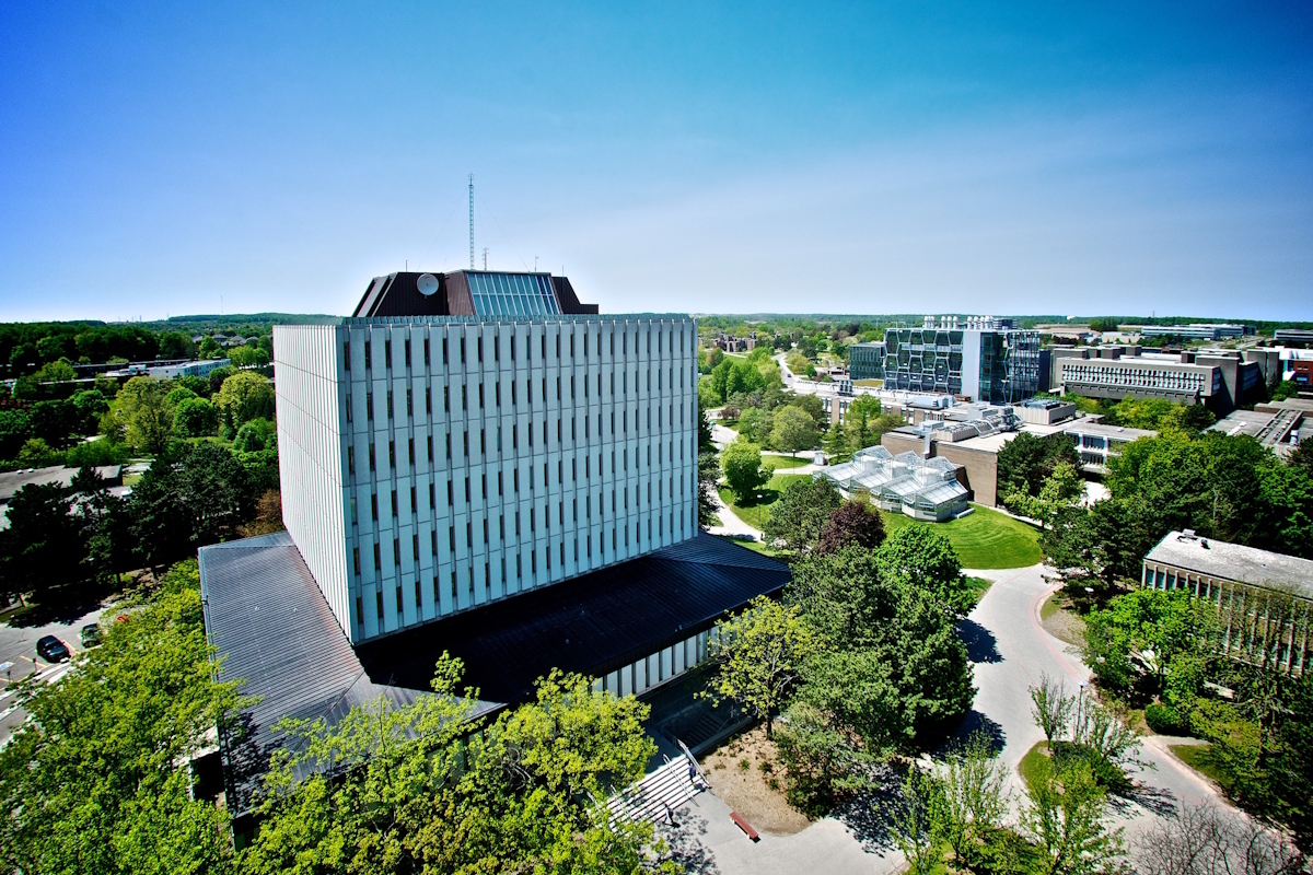 Aerial shot of DP library